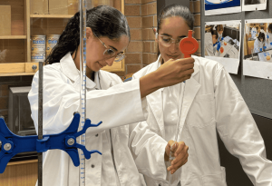 A photo of two students from Mount St Joseph (MSJ) Milperra experimenting in a science lab